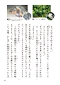 小学校道徳　沖縄県郷土資料集