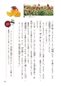 小学校道徳　沖縄県郷土資料集