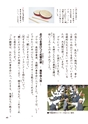 小学校道徳　沖縄県郷土資料集