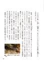 小学校道徳　沖縄県郷土資料集