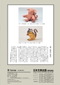 形 forme 302号