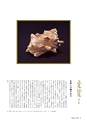 形 forme 304号