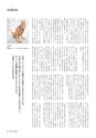 形 forme 304号