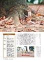 形 forme 309号