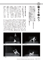 形 forme 310号