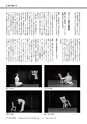 形 forme 310号