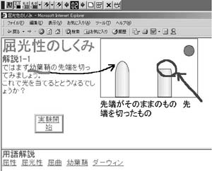 提示画面２