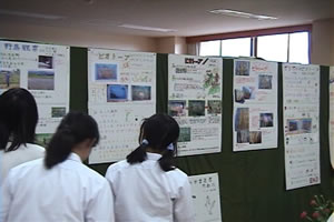 全学級の取り組みが文化祭で一同に展示