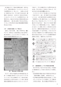 社会科navi Vol.12