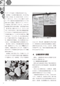社会科navi Vol.12