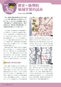 社会科NAVI Vol.17