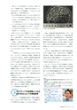 社会科NAVI Vol.23