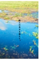 図工のみかた 05号