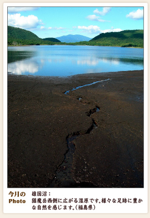 今月のPhoto　雄国沼：猫魔岳西側に広がる湿原です。（福島県）