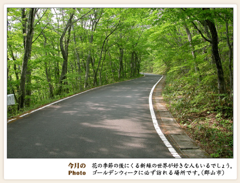 画像：今月のPhoto　花の季節の後にくる新緑の世界（福島県郡山市）