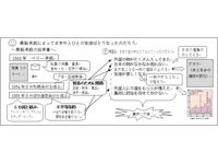 「開国と明治維新」（第6学年）