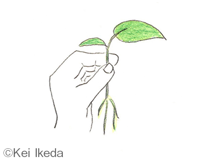 「ユネスコ教育勧告」のエッセンス（その2）　「ヒューマン・ライツ」